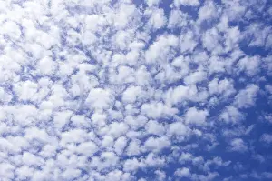 Cloudy Summer Sky Drucke: Background from a cloud formation of fleecy clouds in the summer sky
