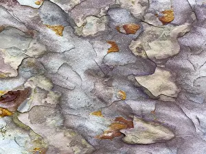 Colorful Sandstone Formations Drucke: Background, color pattern in sandstone