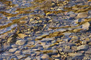 No People On The Shore Drucke: Background image of some smooth stones in a river
