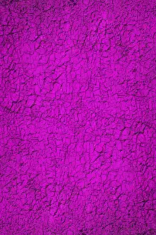 Deserted Wall Drucke: Background pink wall