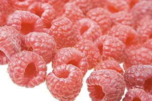 Fresh Fruit Photography Drucke: Background of raspberry