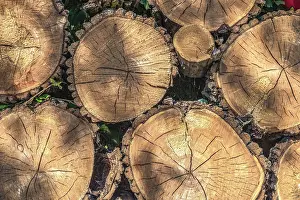 Deserted Forest Scene Drucke: Background of stacked pine logs close up