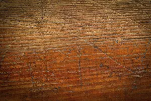 Grunge Wood Background Drucke: Background texture of grained, scratched