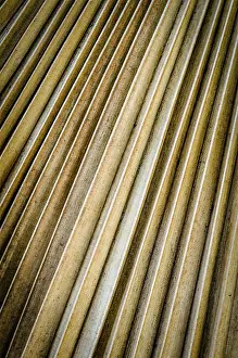 Full Frame Background Image Drucke: Background Texture Of Old Palm Tree Leaf