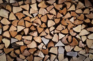 Uninhabited Forest Landscape Photo Drucke: Background Texture Of Stacked Split Wood For Fire