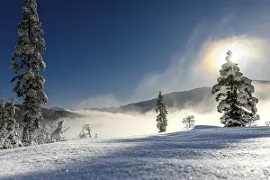Winter Woodland Scenes Drucke: Backlit winter mountain forest