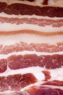 Weight Loss Food Ideas Drucke: Bacon