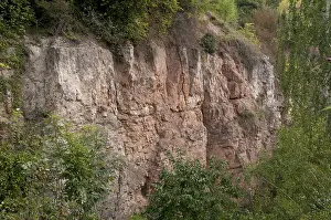 Natural Monument In Germany Drucke: Bad Kostritz, Greiz, Pohlitz