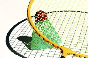 Physical Fitness Athlete Drucke: Badminton