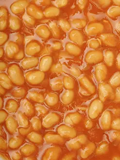 Studio Shot Breakfast Dish Drucke: Baked Beans