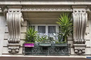 Parisian Cityscape Drucke: Balcony with plants, classicist building