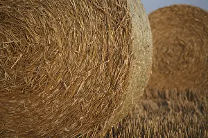 Stubble Field Drucke: Bales on a stubble field