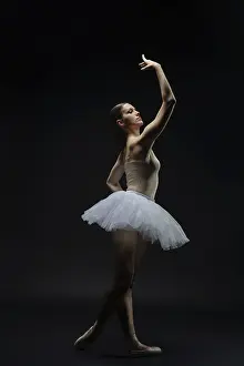 Ballet Dancer Drucke: A ballet dancer poses elegantly in a studio