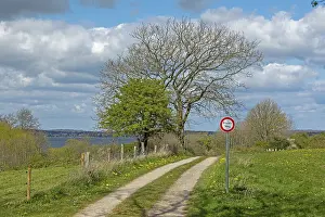 Cloudy Sky Over Sea Drucke: Baltic Sea, trees, clouds, field path
