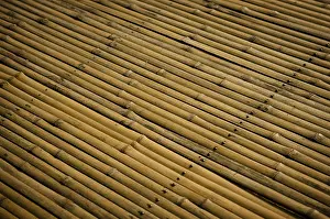 Nature Plant Details Drucke: Detail of bamboo surface