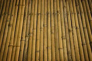 Deserted Bamboo Scene Drucke: Detail of bamboo surface