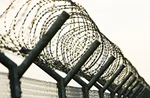 Barbed Wire Fence Drucke: Barbed wire