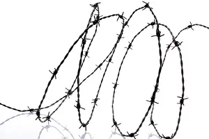 Barbed Wire Fence Drucke: Barbed wire