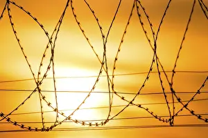 Barbed Wire Sunset Drucke: Barbed wire in the foreground at sunset