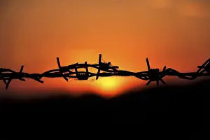 Deserted Evening Scene Europe Drucke: Barbed wire, threatening, sunset, Germany
