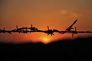 Central Europe Evening Atmosphere Drucke: Barbed wire, threatening, sunset, Germany