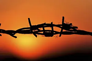 Evening Atmosphere Of Germany Drucke: Barbed wire, threatening, sunset, Germany