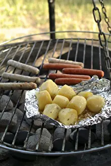 Child Friendly Food Drucke: Barbeque