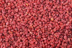 Red Berries Studio Shot Drucke: Barberries