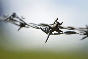 Barbed Wire Fence Drucke: Barbwire