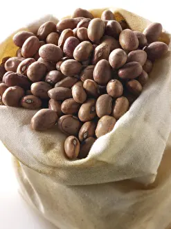 Studio Food Photography Drucke: Barlotti beans