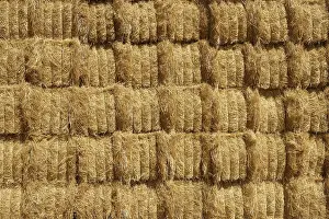 Deserted Barn Drucke: Barn with square shape stack on columns outdoor cereal texture