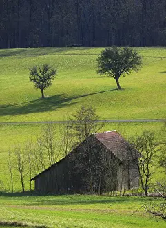 Agricultural Landscapes Drucke: Barn on tree meadow by the forest in winter
