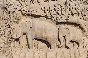 Indian Stone Carvings Drucke: Bas-relief Descent of the Ganges