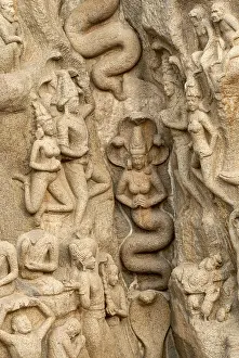 Drucke von Bas-Reliefs, Götter und Göttinnen auf Arjunas Buße Der Abstieg des Ganges in Mahabalipuram Mamallapuram bei Chennai, Tamil Nadu, Südindien, Indien, Asien. UNESCO-Weltnaturerbe Indien Kulturerbestätten Drucke: Bas-Reliefs, Gott