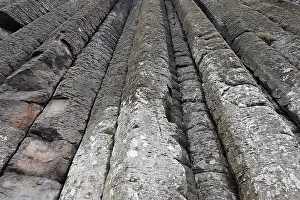 Northern Ireland Landscape Drucke: Basalt columns at the cliffs by the Giant's Causeway