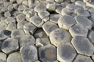 Northern Ireland Geology Drucke: Basalt columns, Giant's Causeway