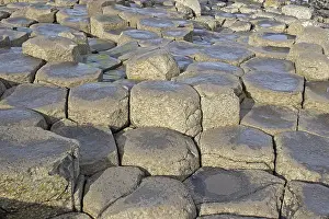 Northern Ireland Geology Drucke: Basalt columns, Giant's Causeway