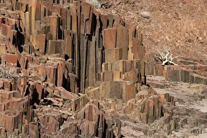 Basalt Columns Namibia Drucke: Basalt columns at Twyfelfontein, Namibia