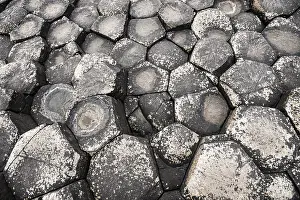 Rocky Coastline UK Drucke: Basaltic rocks, hexagons seen from above