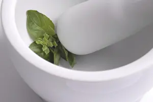 Fresh Basil Drucke: Basil in mortar