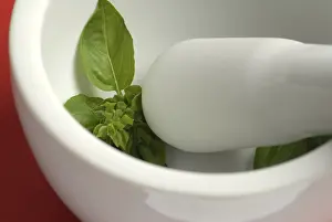 Fresh Basil Drucke: Basil in mortar
