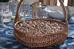 Indoor Still Life Photography Drucke: Basket full of hazelnuts on the table