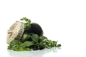 Medicinal Plant Photography Drucke: Basket with herbs