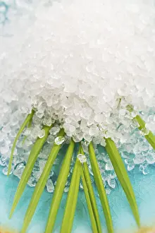 Bathroom Accessories Drucke: Bath salt and palm leaf
