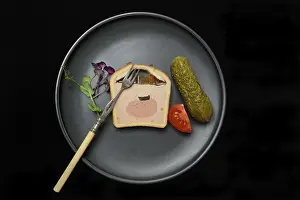 Battered Pate Drucke: Battered pate on plate with microgreen