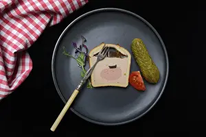 Empty Plate Dessert Drucke: Battered pate on plate with microgreen