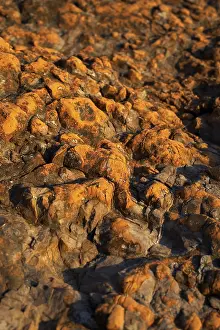 Uninhabited Coastal Region Drucke: Detail from a beach