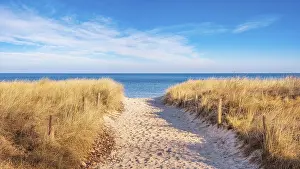 Deserted Beach In Germany Drucke: Beach access at the Baltic Sea