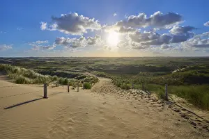 Marram Grass Landscape Drucke: Beach access, sand dune, dune grass