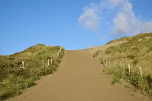 Benelux Beaches Drucke: Beach access, sand dune, dune grass